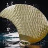 Experienced Marine Propeller Manufacturing OEM Service Provider