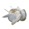 Marine Energy-saving Vortex Fins——NI-AL Bronze (CU3)-a Professional Marine Propeller Supplier