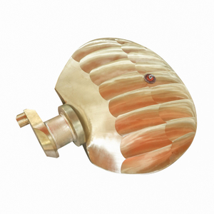 Controllable Pitch Propeller