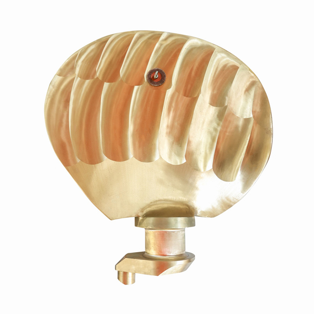 Controllable Pitch Propeller