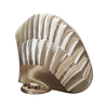 Controllable Pitch Propeller
